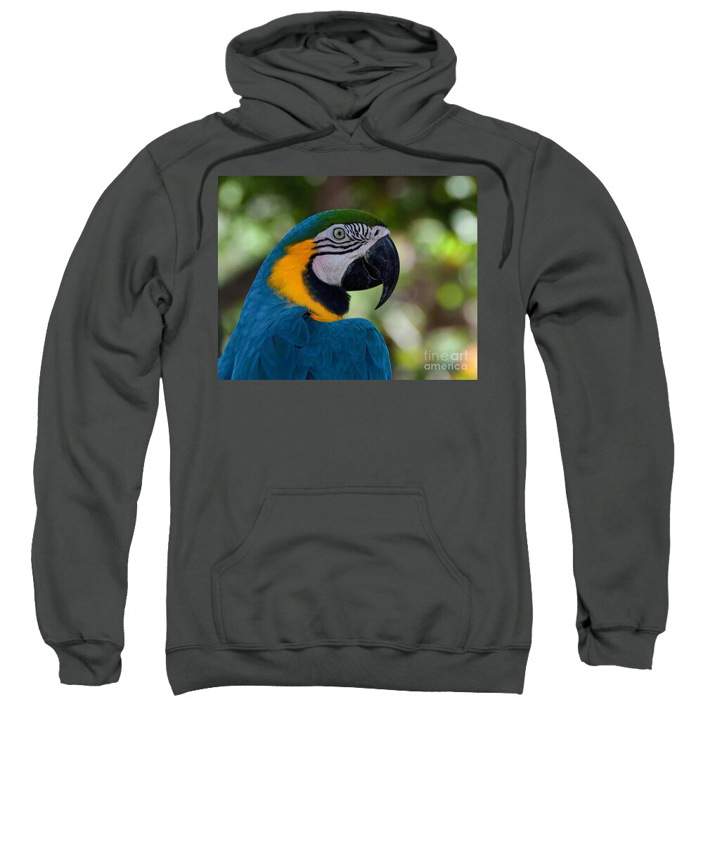 Parrot Sweatshirt featuring the photograph Parrot head by Art Whitton