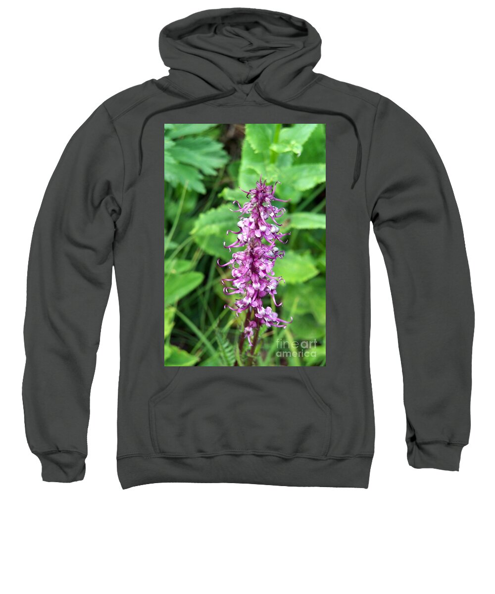 Wildflowers Sweatshirt featuring the photograph Pink Elephants by Dorrene BrownButterfield
