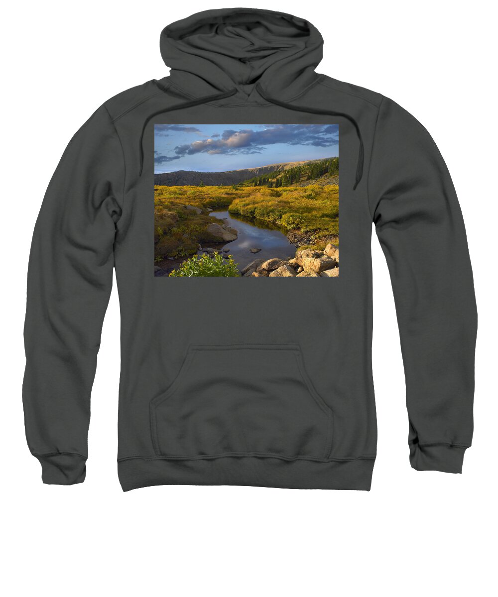 00175956 Sweatshirt featuring the photograph Ponderosa Pine Trees In Prairie by Tim Fitzharris