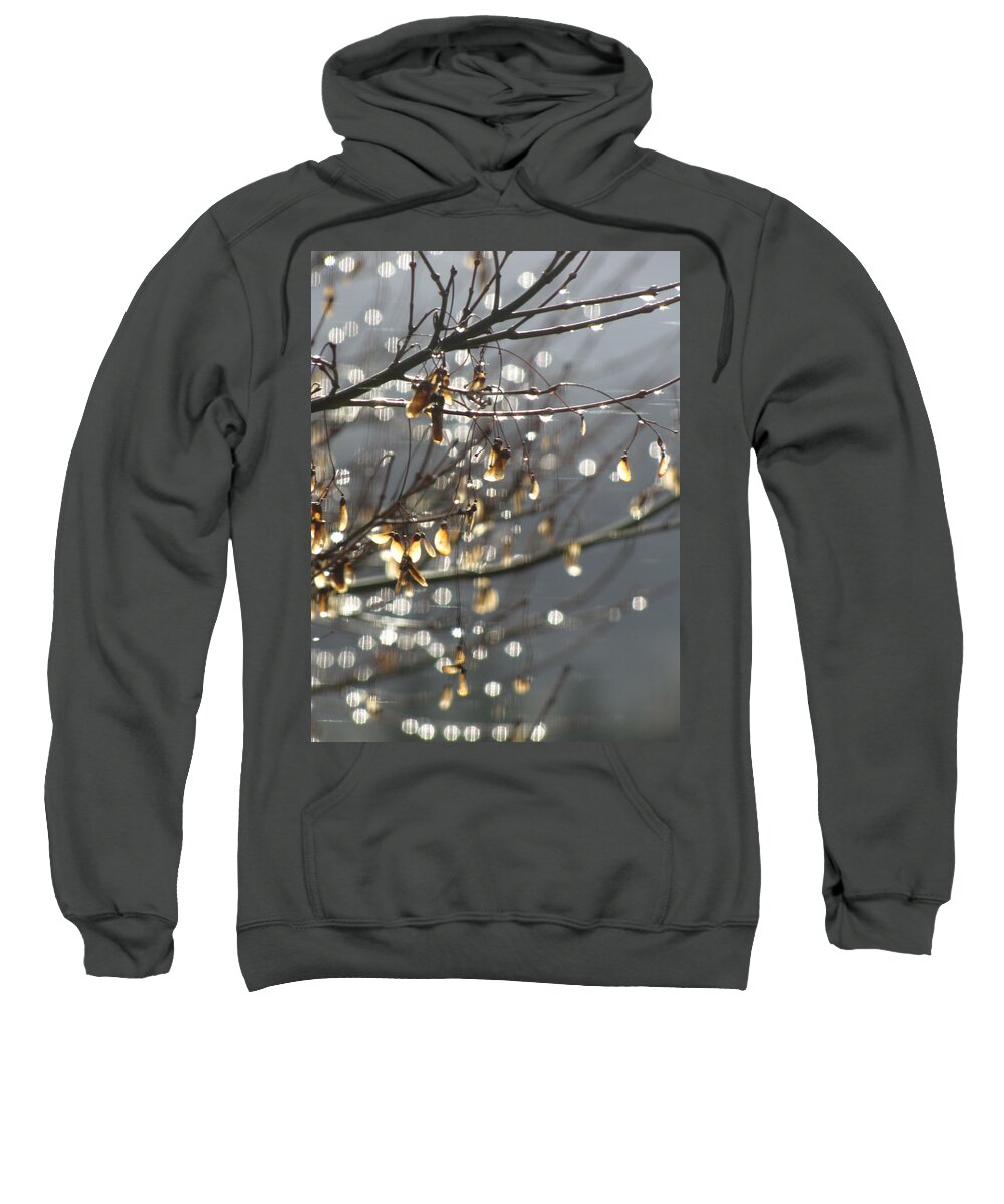 Leaves Sweatshirt featuring the photograph Raindrops And Leaves by KATIE Vigil