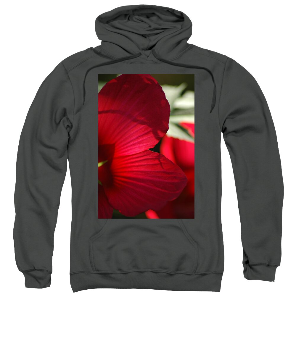 Hibiscus Sweatshirt featuring the photograph Red Hibiscus by David Weeks