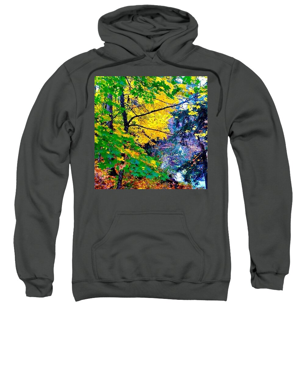 Reed College Canyon Sweatshirt featuring the photograph Reed College Canyon Fall Leaves II by Anna Porter