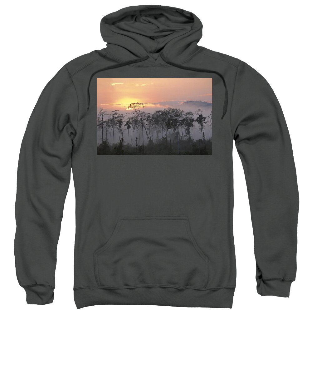 Mp Sweatshirt featuring the photograph River Edge At Dawn, Lower Urubamba by Pete Oxford