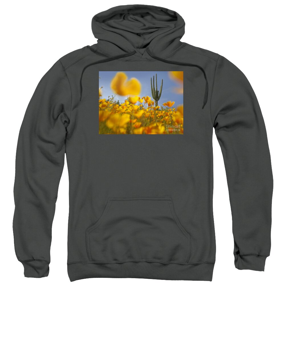 00443062 Sweatshirt featuring the photograph Saguaro Cactus And California Poppies by Tim Fitzharris