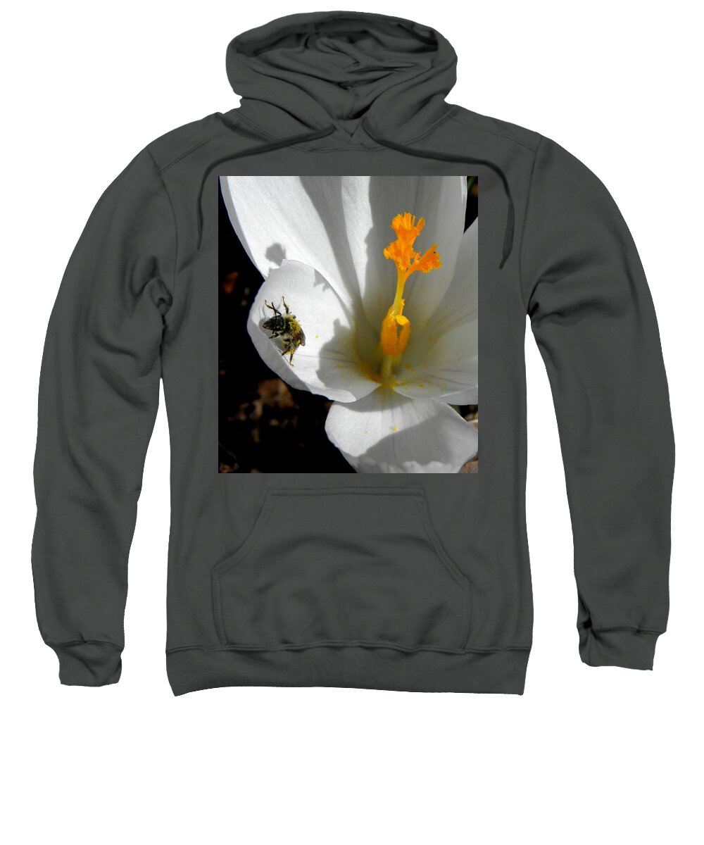 Bee Sweatshirt featuring the photograph Springs First Pollination by Kim Galluzzo