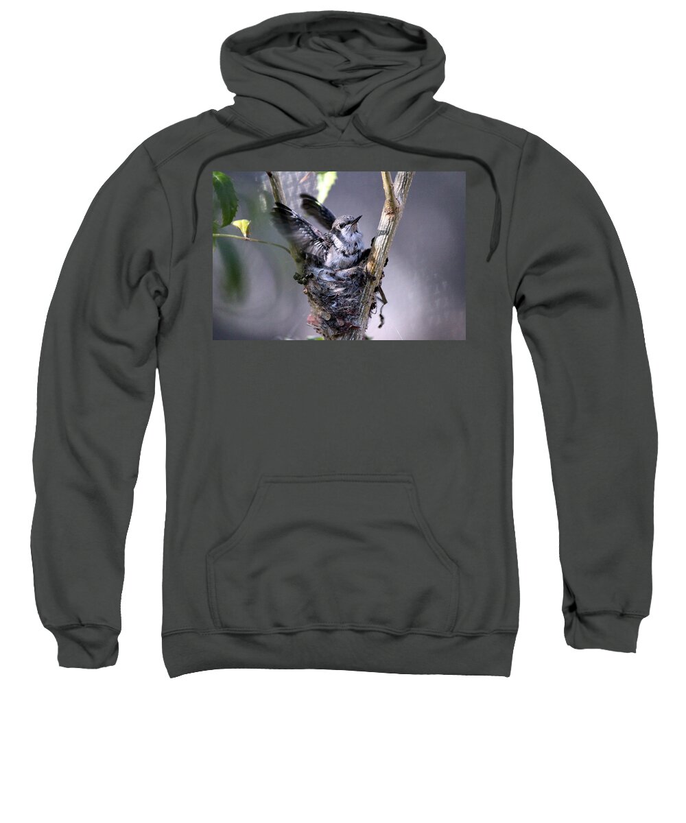 Birds Sweatshirt featuring the photograph Stretching My Wings by Jo Sheehan