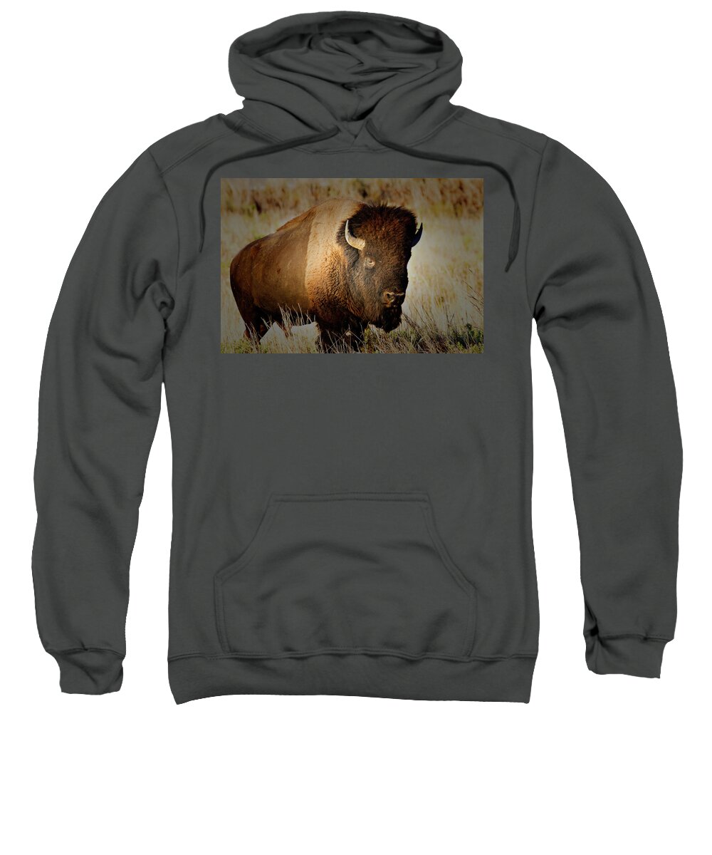 Bull Sweatshirt featuring the photograph Taurus by Douglas Barnard