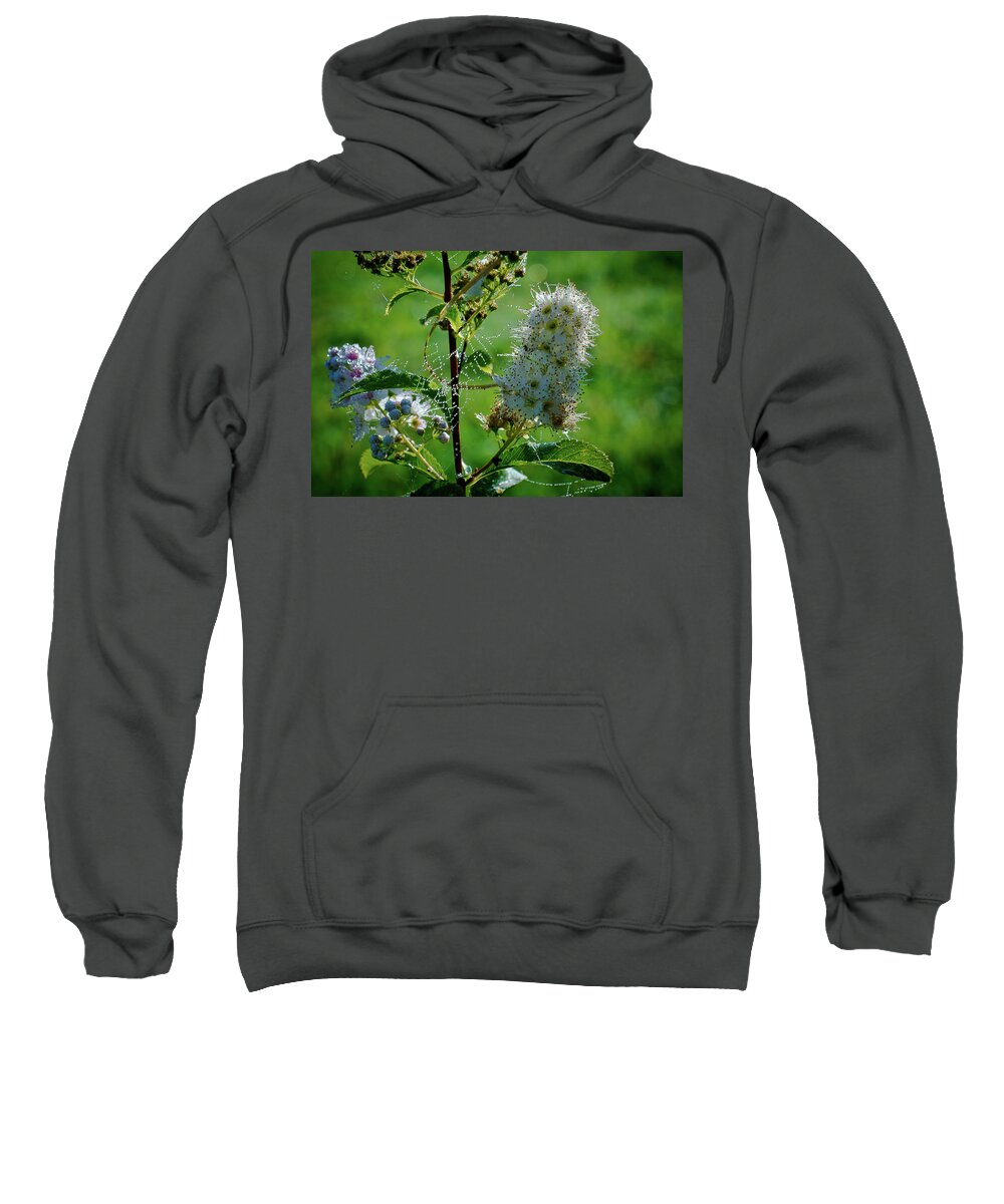 Bead Sweatshirt featuring the photograph The Glass Bead Game by Michael Goyberg