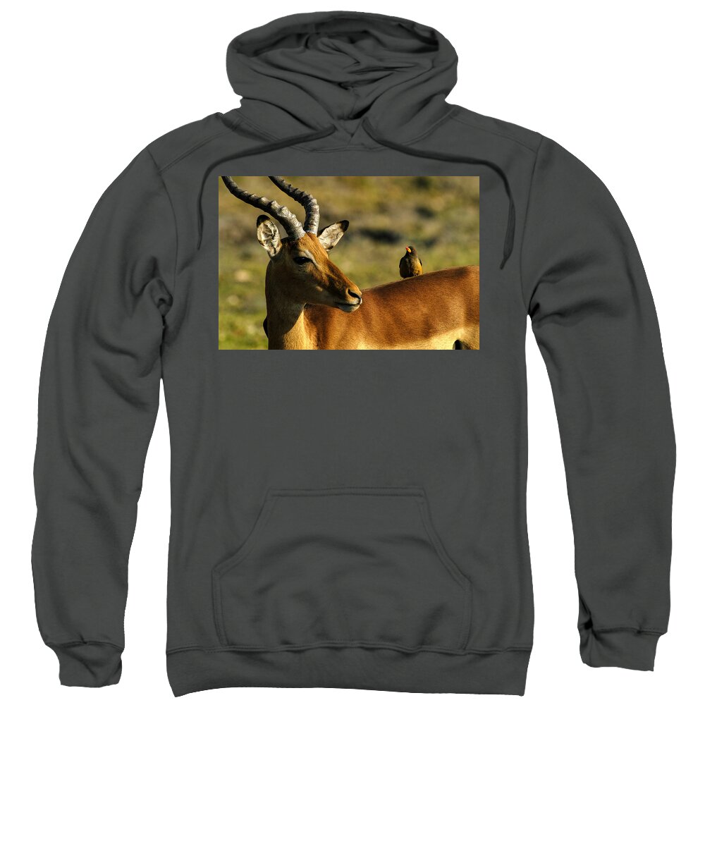 Action Sweatshirt featuring the photograph The look by Alistair Lyne