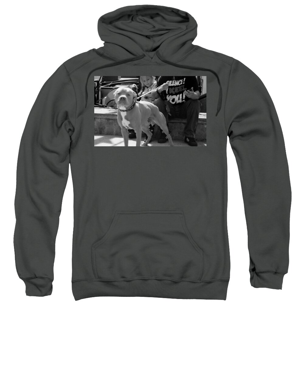 Staffordshire Bull Terrier Sweatshirt featuring the photograph The Pit by Marysue Ryan