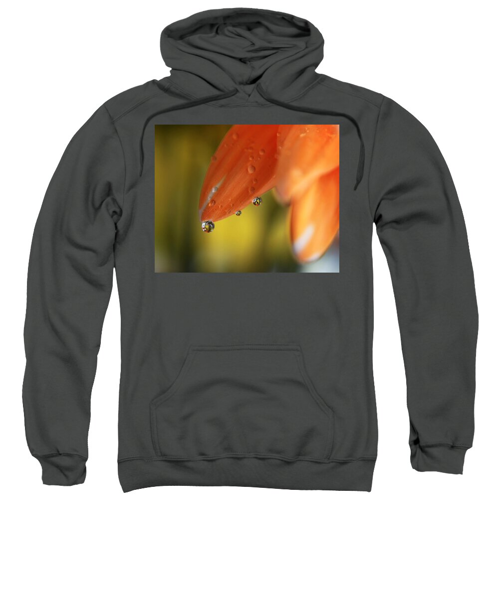 Flowers Sweatshirt featuring the photograph Three Friends Hangin' Out by Laurie Search
