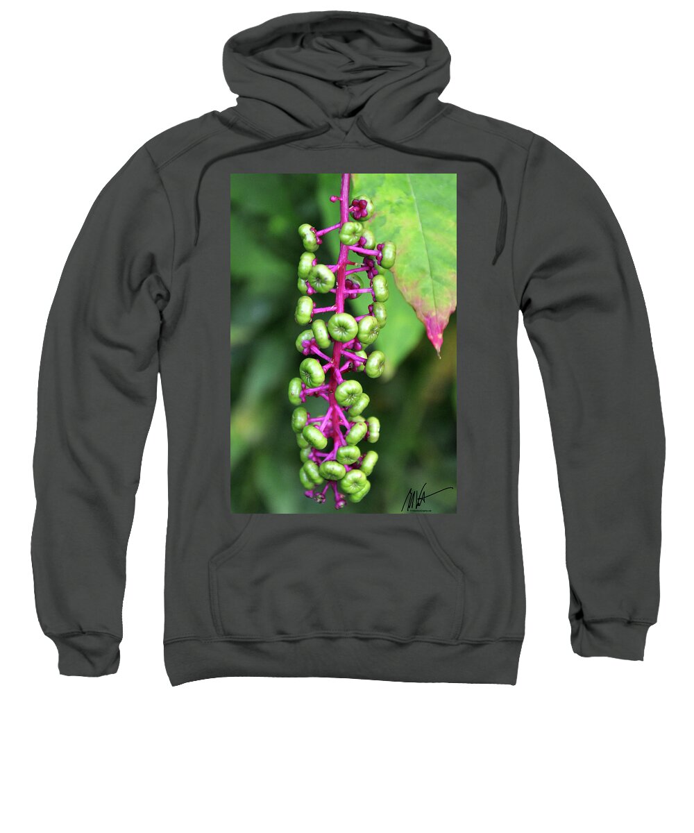  Sweatshirt featuring the photograph Unexplained by Mark Valentine