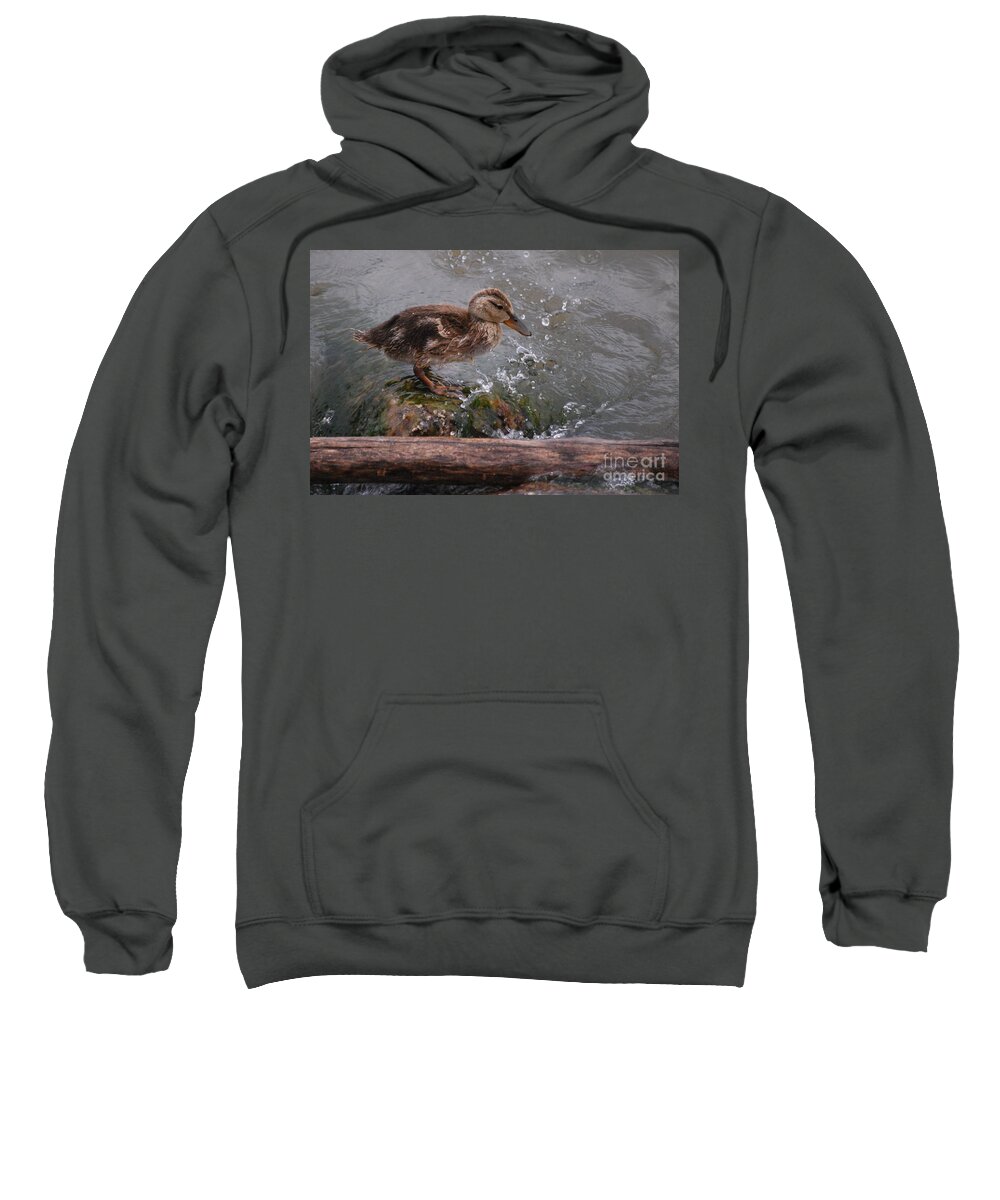 Duckling Sweatshirt featuring the photograph Wading by Grace Grogan