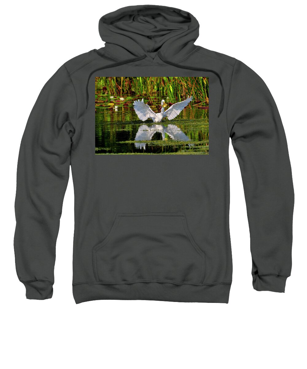 Great White Egret Sweatshirt featuring the photograph Wetlands by Bill Dodsworth