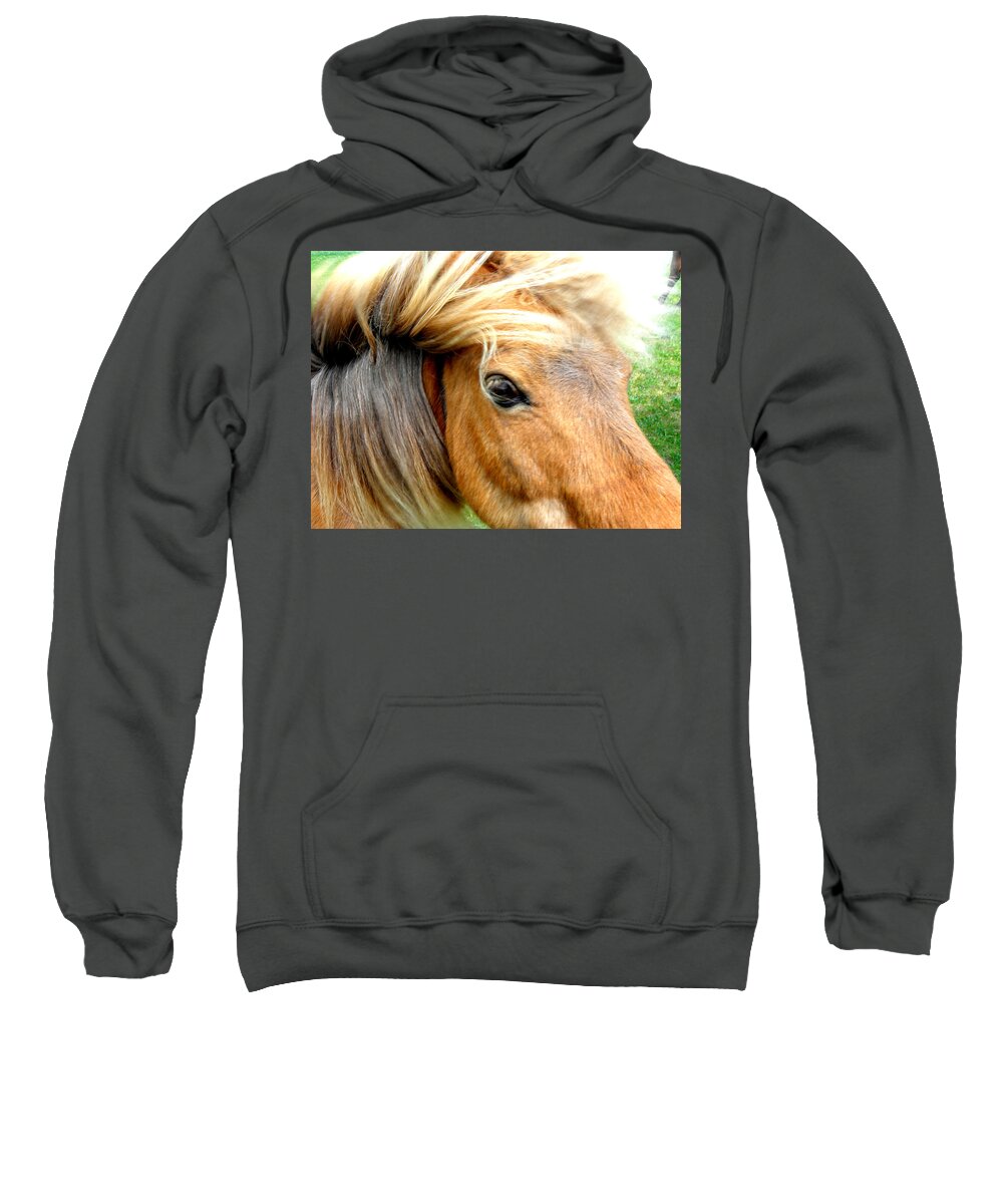 Miniature Pony Sweatshirt featuring the photograph Wind Blown by Kim Galluzzo