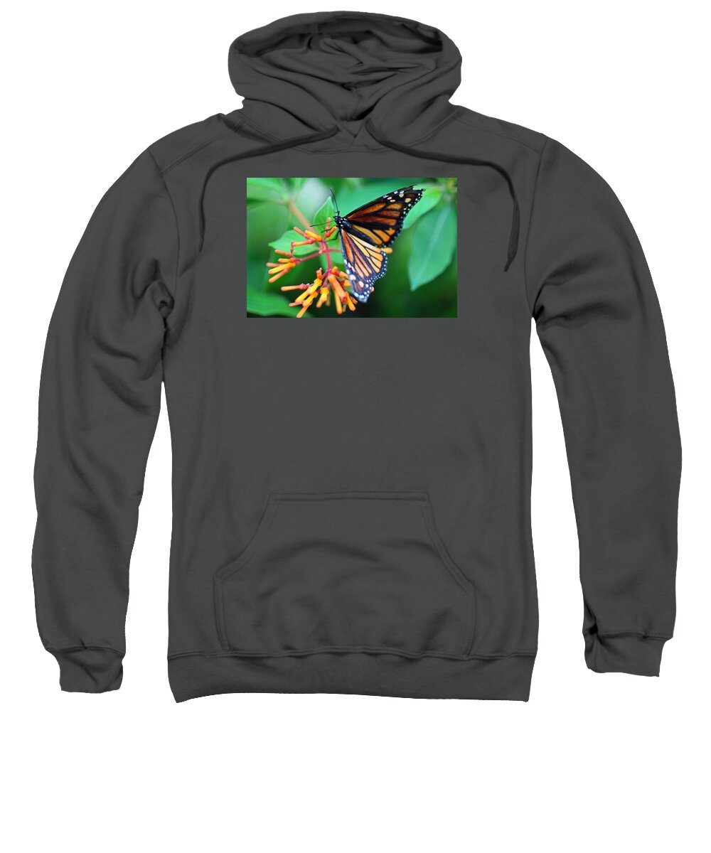 Butterfly Sweatshirt featuring the photograph A Delightful Seduction by Michiale Schneider