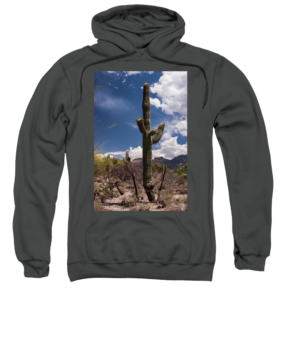 Arizona Sweatshirt featuring the photograph Arizona Cactus #2 by David Palmer