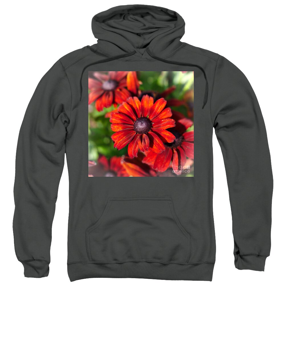 Flowers Sweatshirt featuring the photograph Autumn Flowers #1 by Jeremy Hayden