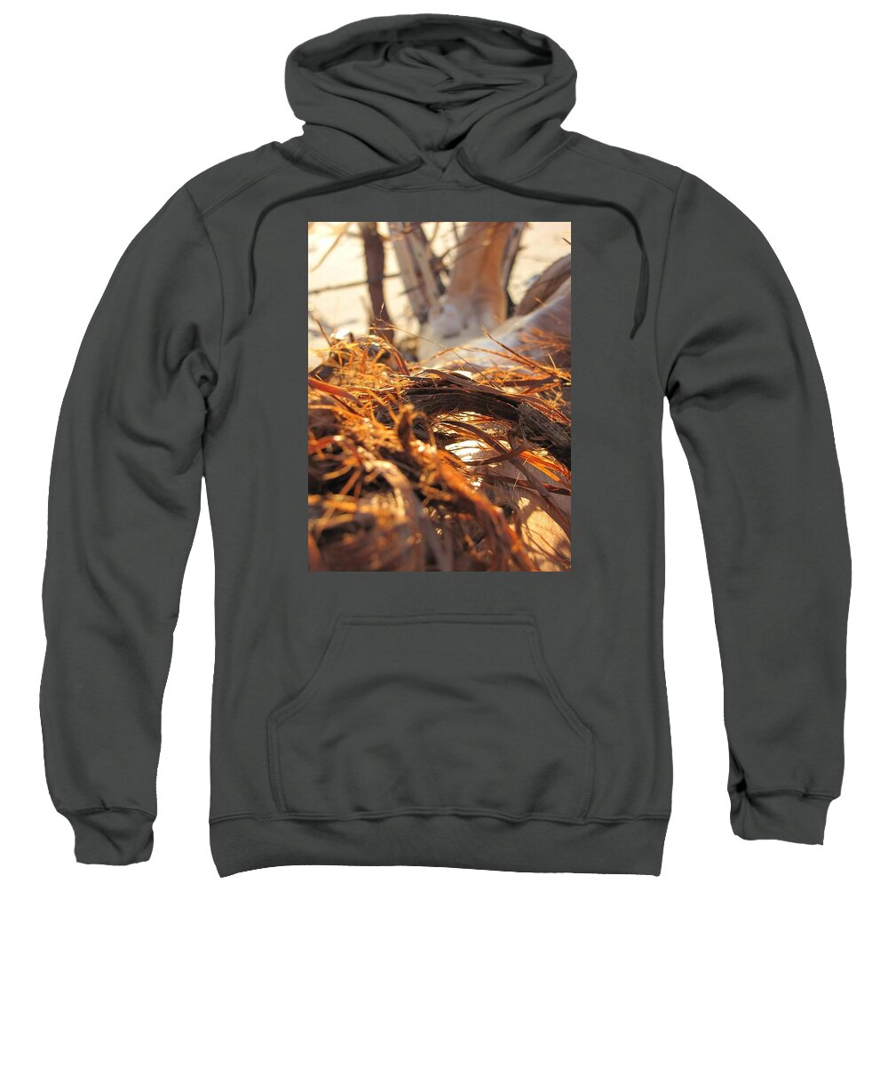 Sun Sweatshirt featuring the photograph Beach Wood #1 by Laura Henry