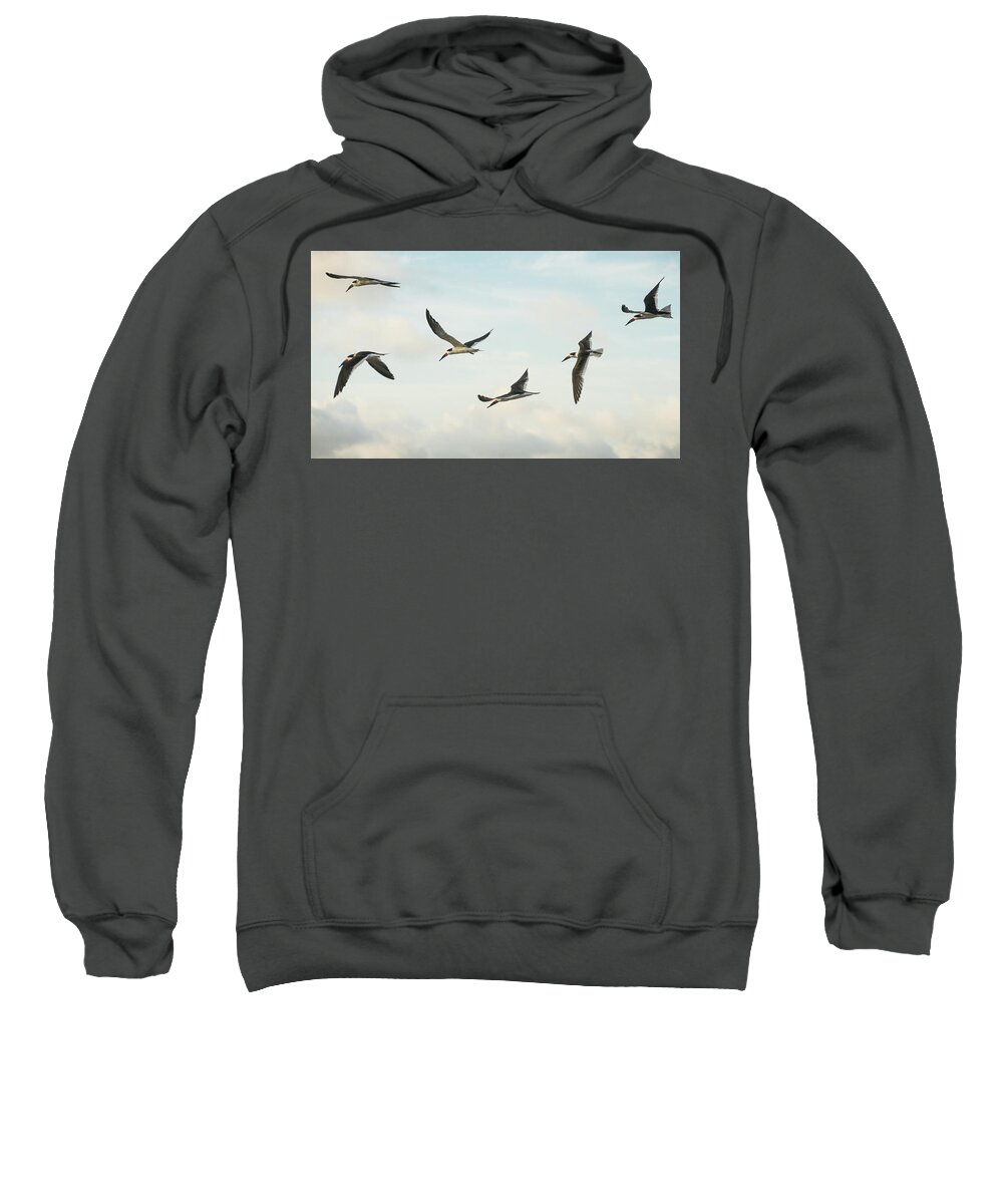 Florida Sweatshirt featuring the photograph Black Skimmers in Flight Delray Beach Florida #1 by Lawrence S Richardson Jr