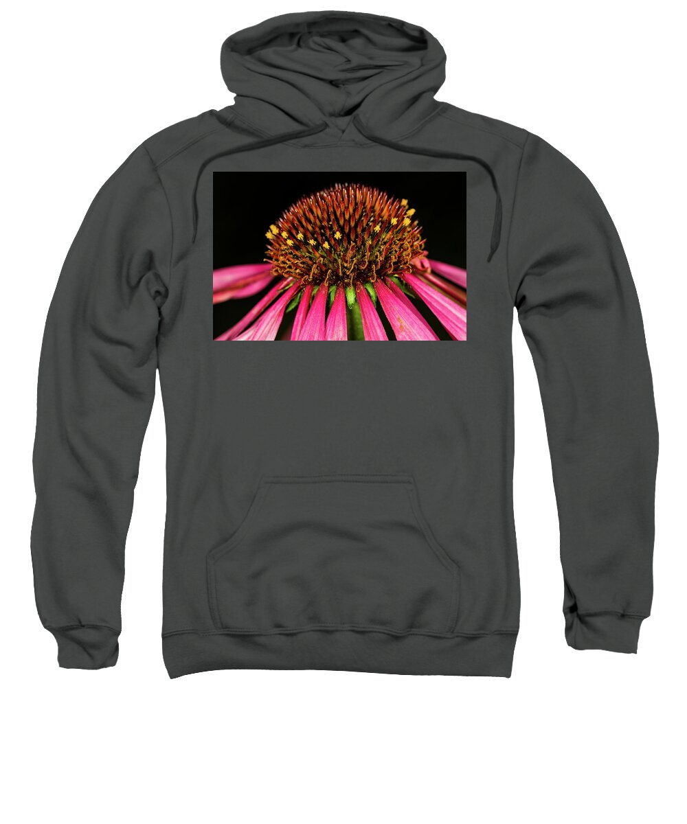 Jay Stockhaus Sweatshirt featuring the photograph Cone Flower #1 by Jay Stockhaus