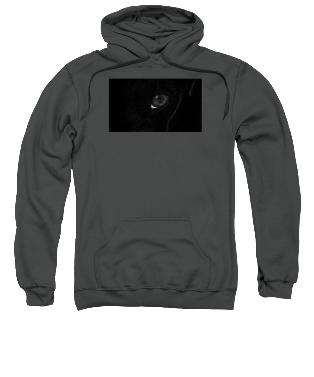Dog Sweatshirt featuring the photograph Eye Spy #1 by Nick Bywater