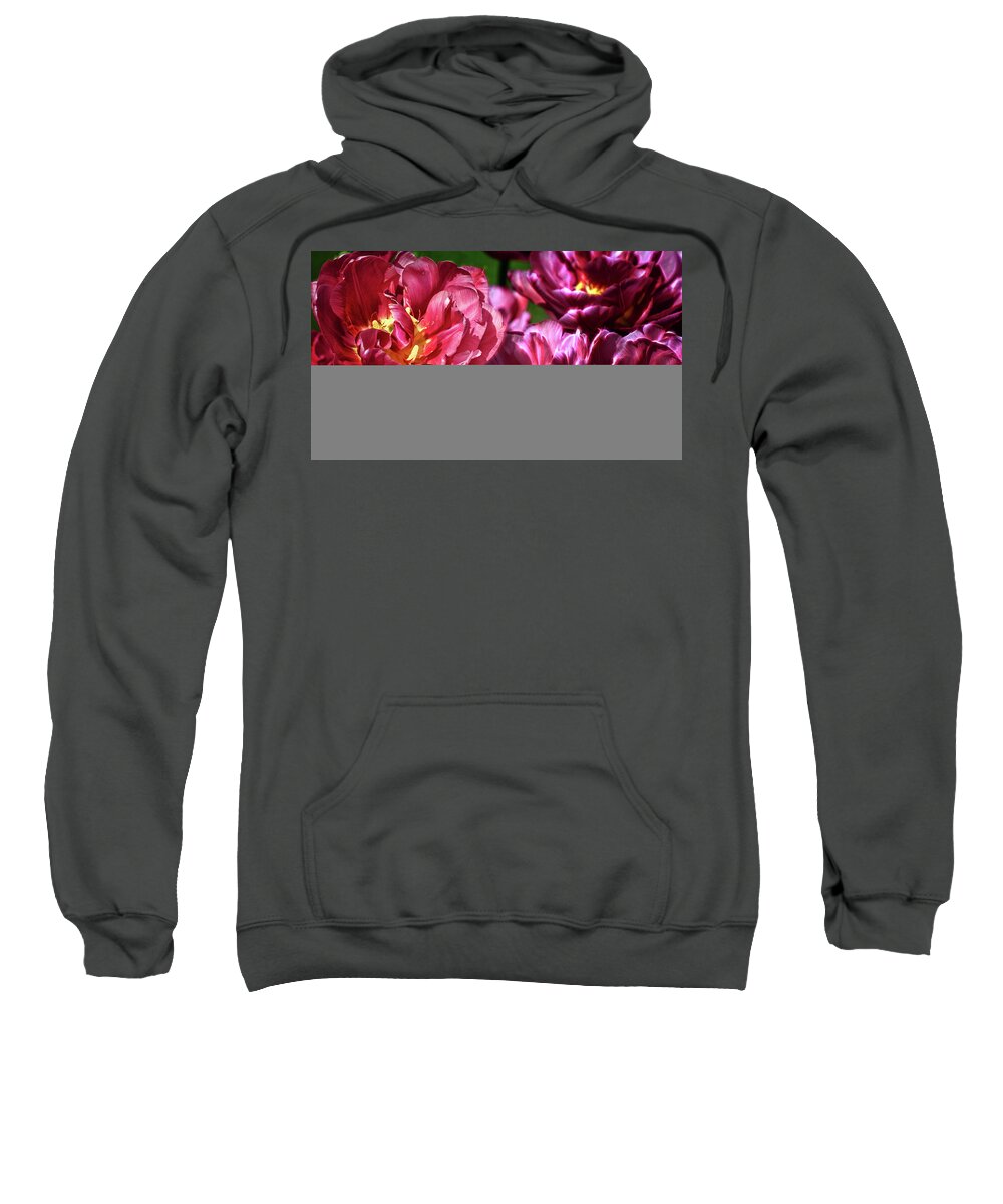 Flowers Sweatshirt featuring the photograph Flowers and Fractals #1 by Cameron Wood