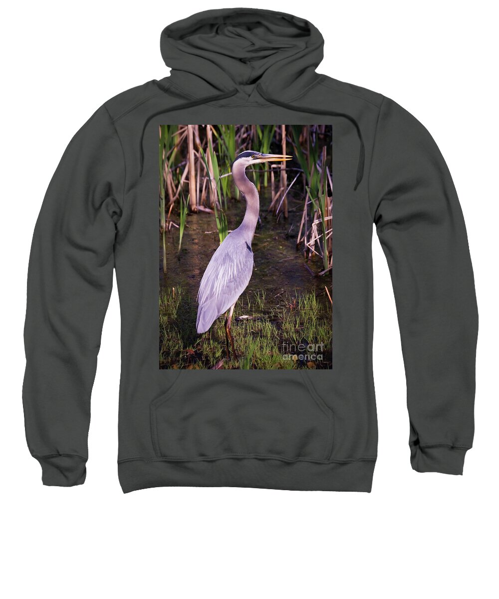 Animals Sweatshirt featuring the photograph Great Blue Heron #1 by Tom Brickhouse