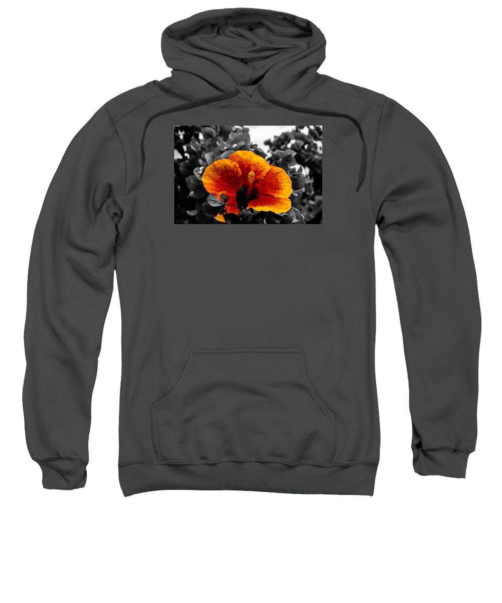 Flower Sweatshirt featuring the photograph Hibiscus Beauty by Randy Sylvia