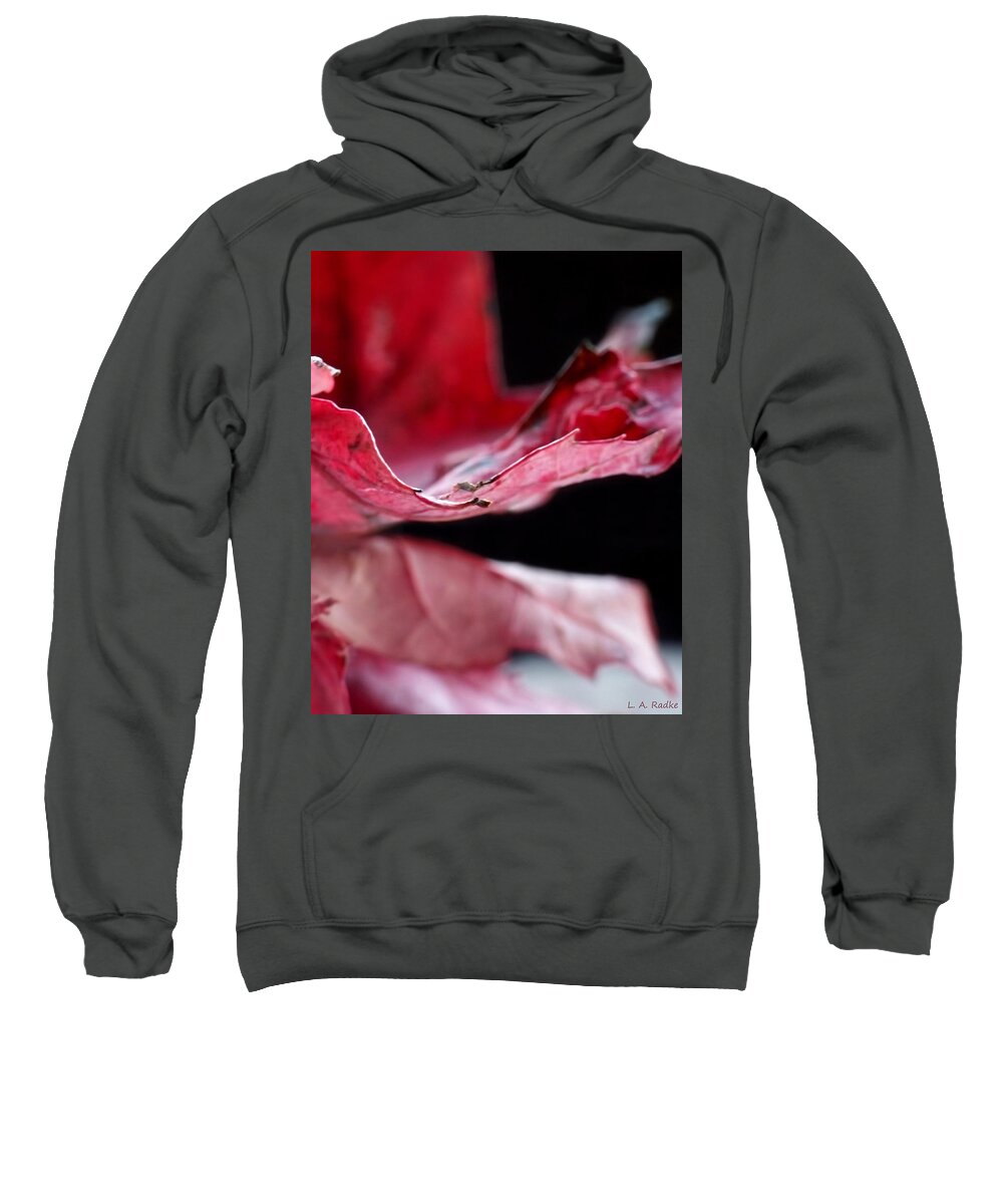 Abstract Sweatshirt featuring the photograph Leaf Study V #1 by Lauren Radke