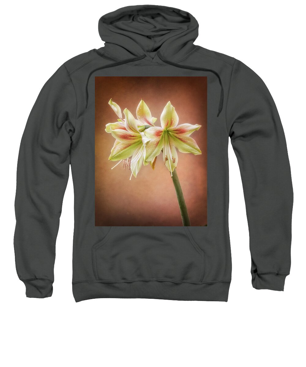 Flowers Sweatshirt featuring the photograph Three blooms of Amaryllis by Usha Peddamatham