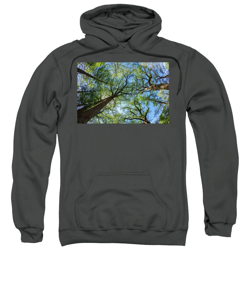 Austin Sweatshirt featuring the photograph Majestic Cypress Trees by Raul Rodriguez