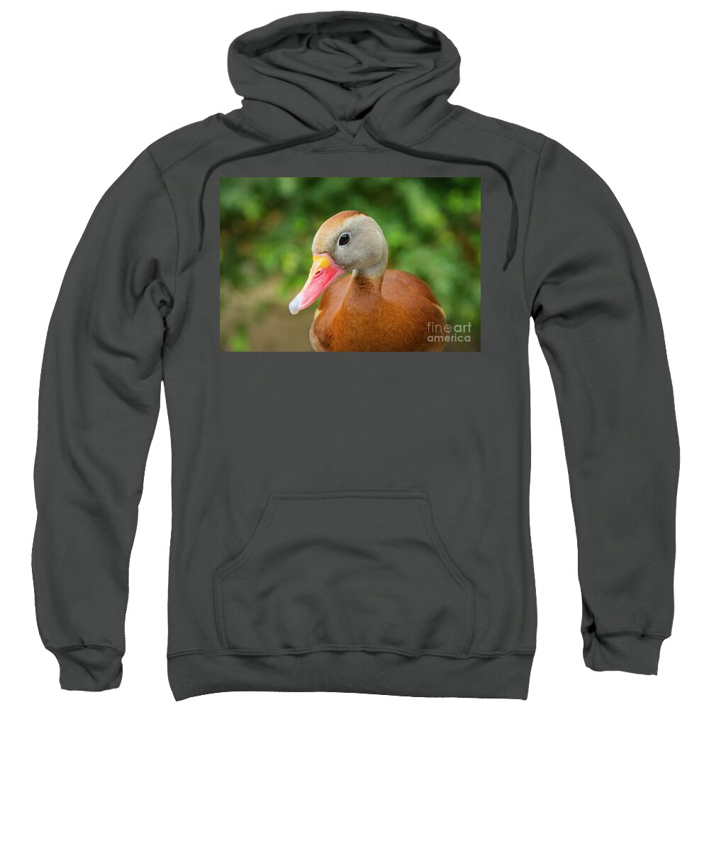 Cameron Park Zoo Sweatshirt featuring the photograph Whistling Duck Best Pose by Bob Phillips
