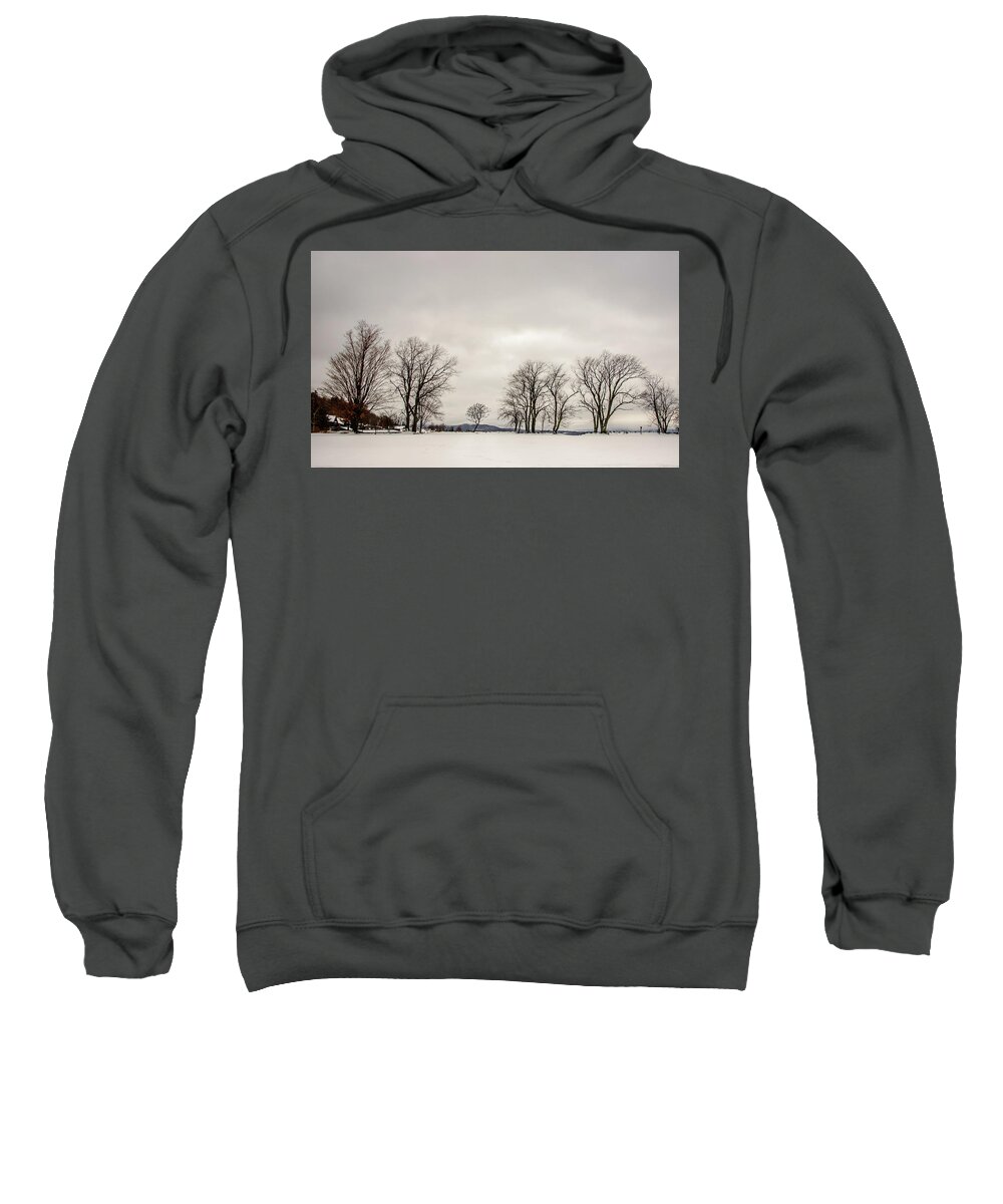 Landscape Sweatshirt featuring the photograph Naked Treeline #2 by Robert Mitchell