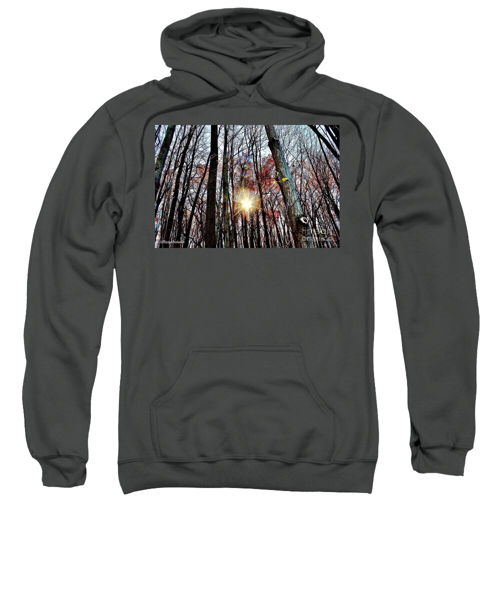 Photograph Sweatshirt featuring the photograph Nature #1 by MaryLee Parker