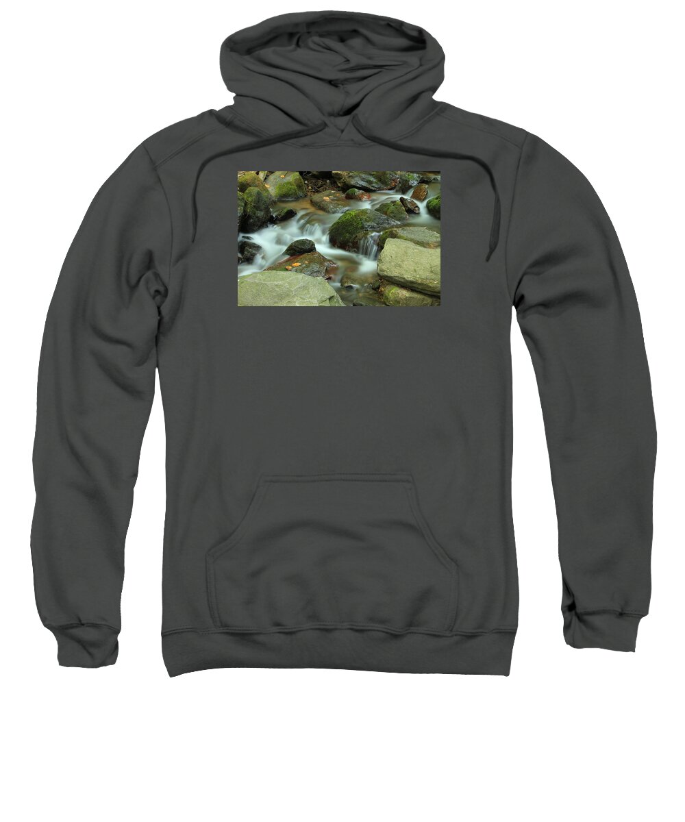 Still Life Photography Sweatshirt featuring the photograph Nature's Beauty #2 by Mary Buck