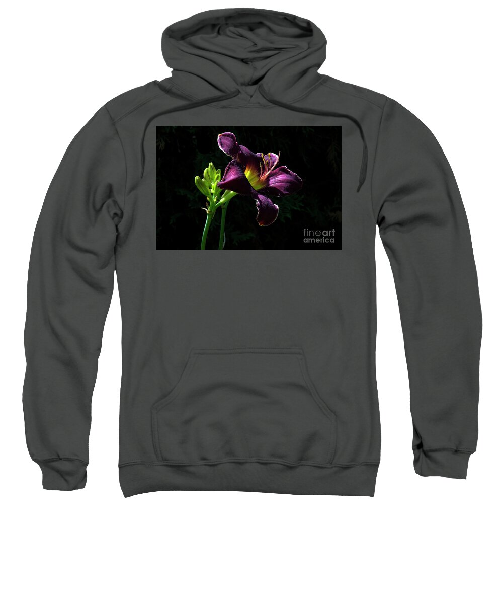 Lily Sweatshirt featuring the photograph Nobility #2 by Doug Norkum