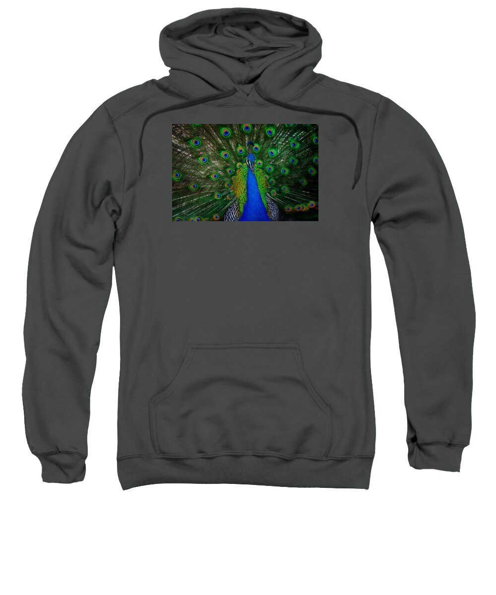 Peacock Sweatshirt featuring the photograph Peacock #1 by Harry Spitz