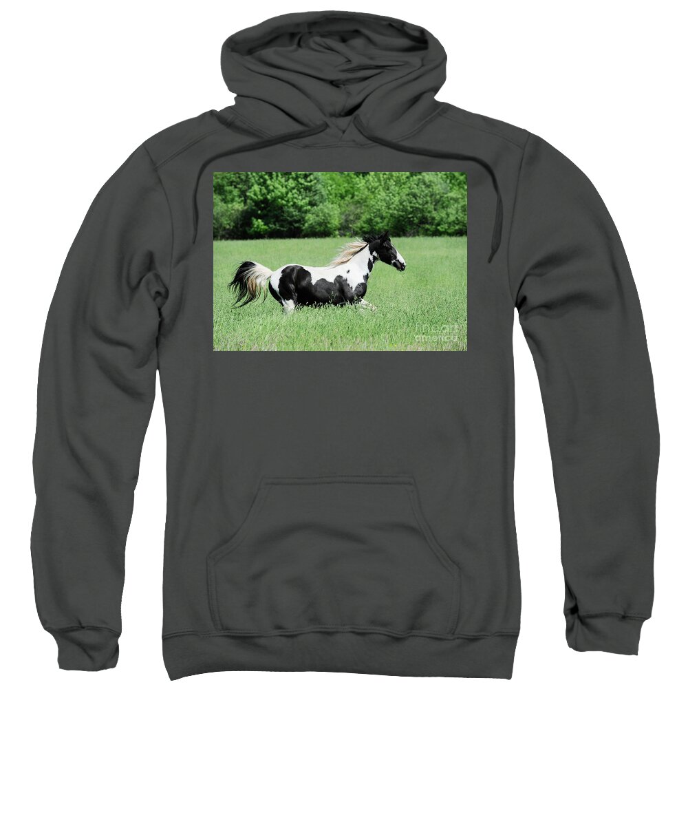 Rosemary Farm Sanctuary Sweatshirt featuring the photograph Cleopatra by Carien Schippers