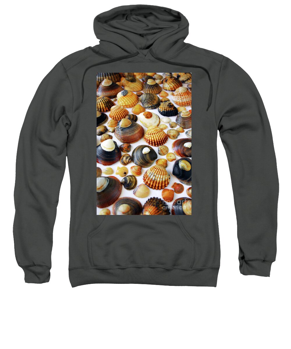 Aquatic Sweatshirt featuring the photograph Shell Background #1 by Carlos Caetano