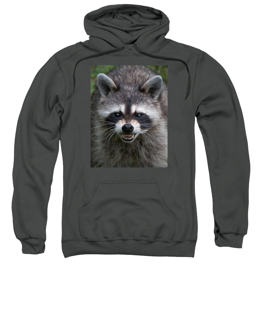 Portrait Sweatshirt featuring the photograph Snarling Raccoon #1 by Joye Ardyn Durham