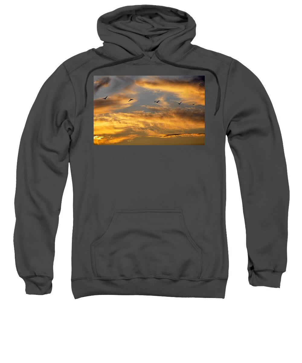 Sunset Sweatshirt featuring the photograph Sunset Flight #1 by AJ Schibig