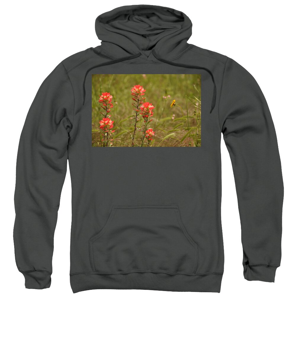 Texas Hill Country Sweatshirt featuring the photograph Texas Paintbrush by Frank Madia