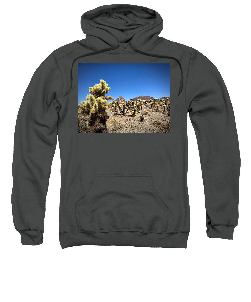 Cactus Sweatshirt featuring the photograph The Gathering #1 by Brad Hodges