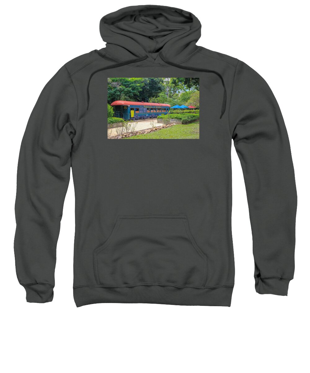 Landscape Sweatshirt featuring the photograph Uribe Botancal Garden #2 by Robert McKinstry