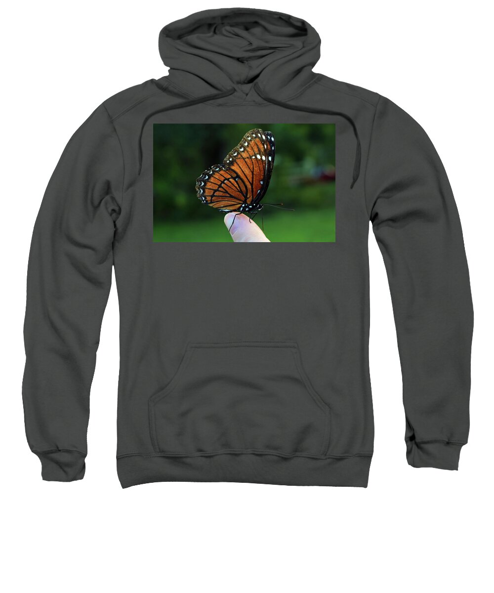 Photograph Sweatshirt featuring the photograph Viceroy Butterfly #1 by Larah McElroy
