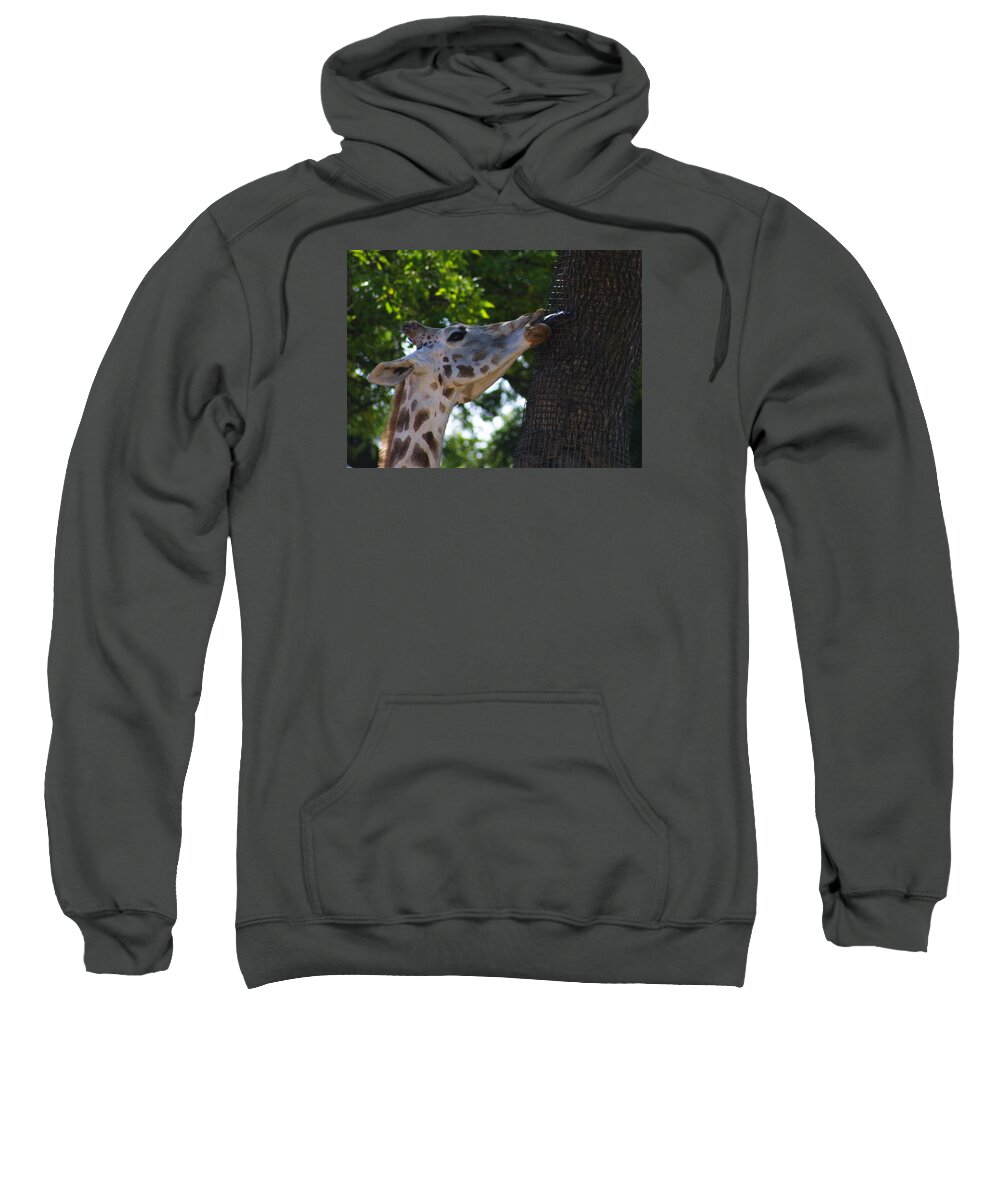 Zoo Sweatshirt featuring the photograph Zoo Scapes #10 by Jean Wolfrum
