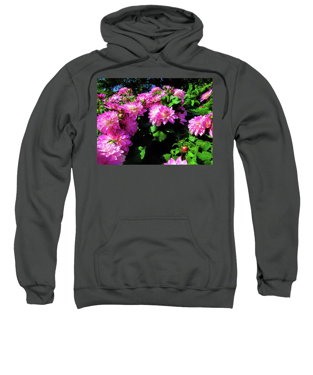 Mountain Sweatshirt featuring the photograph Flower #17 by Cesar Vieira