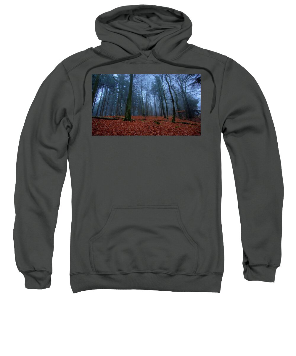 Forest Sweatshirt featuring the photograph Forest #18 by Jackie Russo