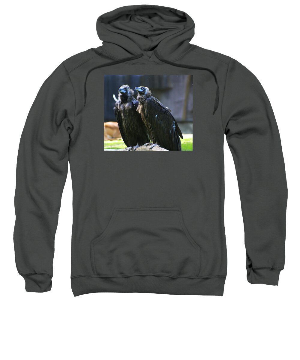 Zoo Sweatshirt featuring the photograph Zoo Scapes #18 by Jean Wolfrum
